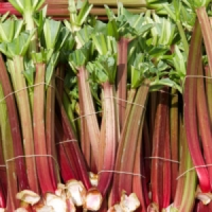 Rhabarber 0.99&nbsp;&euro;