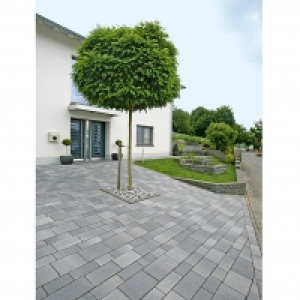 EHL Multiforma-Pflaster 23.00 €