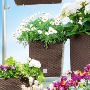 Blumentopf 9.99&nbsp;&euro;