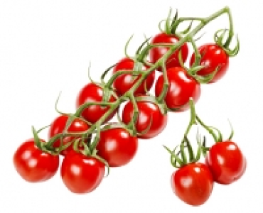 Mini-Romarispentomaten 1.45 €