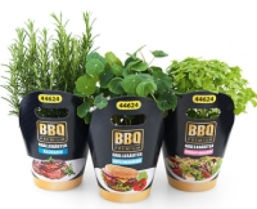 Kr&auml;utertopf Cocktail/Barbecue