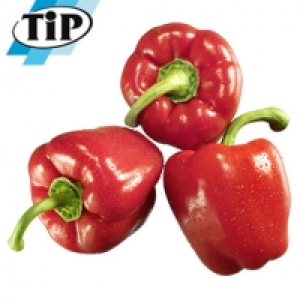 Spanien Paprika, rot Kennzeichnung siehe Etikett, jede 500-g-Packung 1.49 €