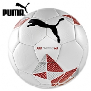 Fu&szlig;ball Gr&ouml;&szlig;e: 5, je 10.00&nbsp;&euro;