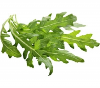 dtsch. Rucolasalat 0.79 €