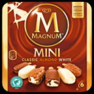 Langnese Magnum 4er oder Mini