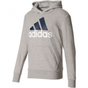 adidas Herren Hoody Essentials Linear