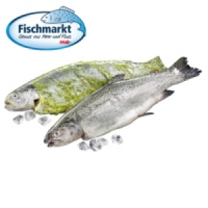 Regenbogenforelle natur oder grillfertig mariniert Aquakultur, Deutsch