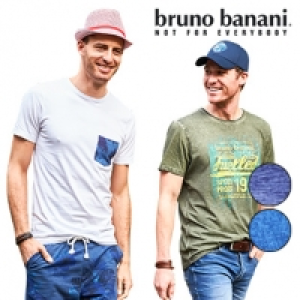 Shirt, Gr&ouml;&szlig;e: M - XXL