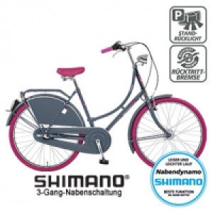 Hollandrad Noblesse 26er, Drehgriffschalter, Alu-Westwood Felgen, Rahm