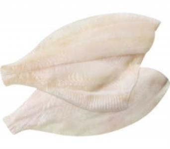 Schollenfilet 1.49&nbsp;&euro;