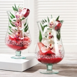 Cymbidium 9.99 €