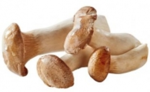 Kräuterseitlinge 1.79 €