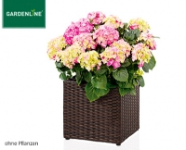 GARDENLINE®Geflecht-Pflanzgefäß, kubisch