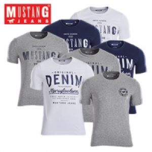 Herren-T-Shirt Gr&ouml;&szlig;e: S - XXL 9.99&nbsp;&euro;