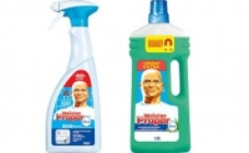 Meister Proper Reiniger 1.45 €