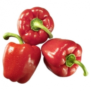 Spanien/Niederlande Paprika, rot Kennzeichnung siehe Etikett, jede 500 1.49 €
