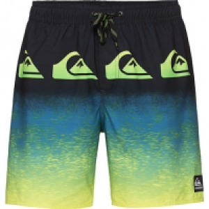 Quiksilver Herren Badeshort Division Momentum 17