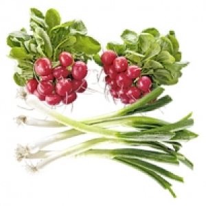 Deutschland Radieschen oder Lauchzwiebeln, jedes Bund 0.49&nbsp;&euro;