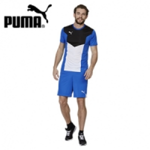 Herren-Trikot oder -Shorts 14.99&nbsp;&euro;