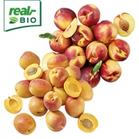 Real  Italien/Spanien Aprikosen oder Nektarinen, Kennzeichnung siehe Etikett
