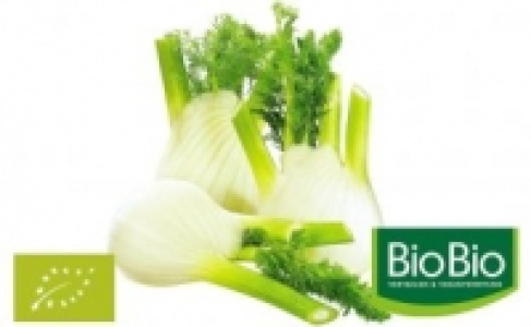 Fenchel 1.59 €