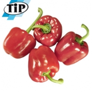 Spanien/Niederlande Paprika, rot Kennzeichnung siehe Etikett, jede 500 1.00 €
