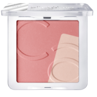 Rossmann Catrice Light And Shadow Contouring Blush 020