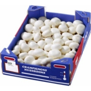 Champignons wei&szlig;