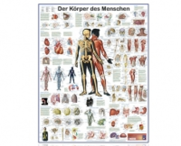 Wandkarte 2.99 €