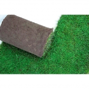 Piardino Rollrasen 5.99 €