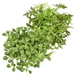 Real  Deutschland Feldsalat, 150 g oder Rucola Salat, 125 g Kennzeichnung si