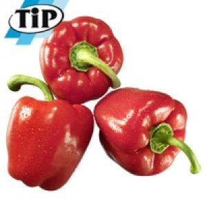 Niederlande/Spanien Paprika, rot Kennzeichnung siehe Etikett, jede 500