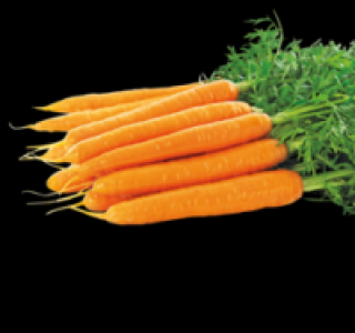 Bundmöhren 0.88 €