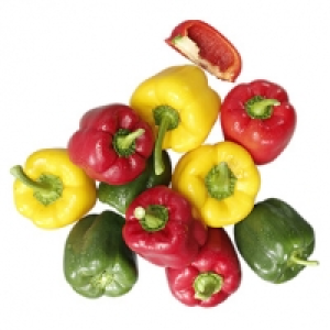 Spanien/Niederlande Paprika Mix Kennzeichnung siehe Etikett, jede 500- 1.49&nbsp;&euro;