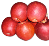 Penny  Rote Tafeläpfel