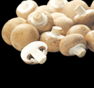 Braune Champignons 0.95 €