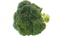 Netto  Broccoli