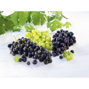 Trauben hell/blau 3.69&nbsp;&euro;