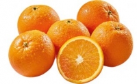 Netto  Orangen