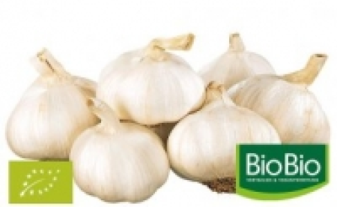 Netto  Knoblauch