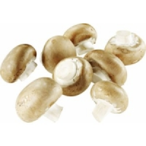 Champignons braun