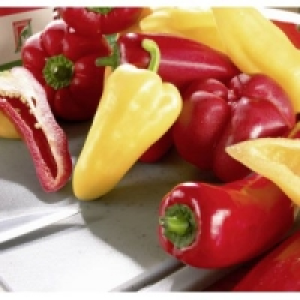 Paprika Capia