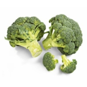 Broccoli