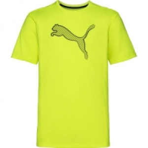 Puma Herren dryCell Funktionsshirt Essential Cat