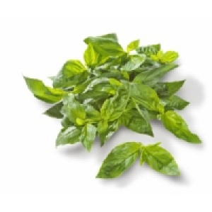 Frische Kr&auml;uter