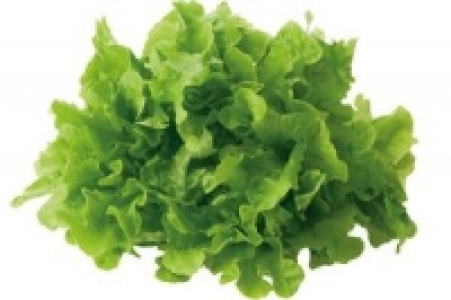 Salat 0.99 €