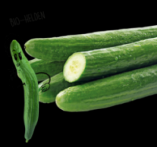 NATURGUT Bio-Gurke 0.79 €