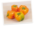 Ebl Naturkost Niederbayerische Orange Paprika
