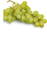 Ebl Naturkost Italienische Weiße Trauben Regal, kernlos