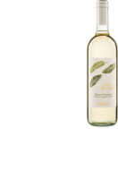 Ebl Naturkost Weißwein Aus Italien Tre Piume Bianco Veronese